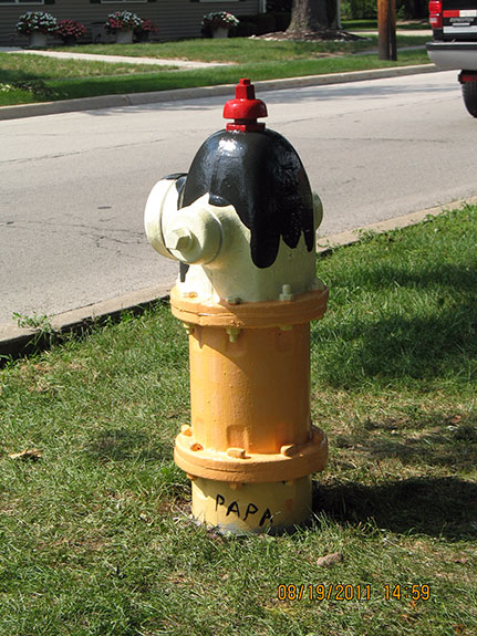 Harvard and Kenilworth Fire Hydrant(2)